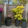 Ashwell Garden Planter - Image 5