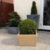 The Meldreth Garden Planter - Image 3