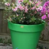 The Classic Tree Planter - Image 11