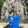 The Classic Tree Planter - Image 7