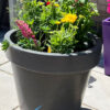 The Classic Tree Planter - Image 10
