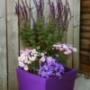 The Meldreth Garden Planter - Image 4