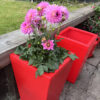 Barrington Garden Planter - Image 7