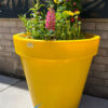 The Classic Tree Planter - Image 6